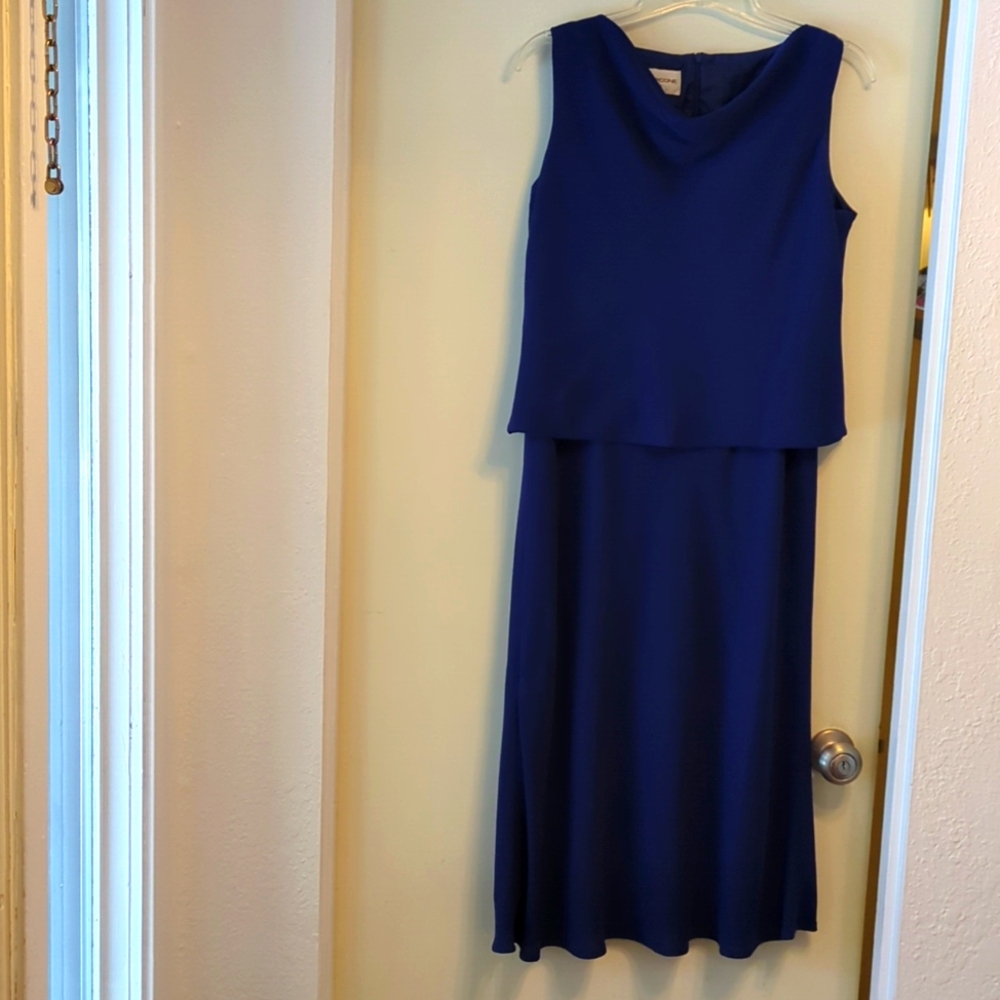 Evan Picone formal dress, L.